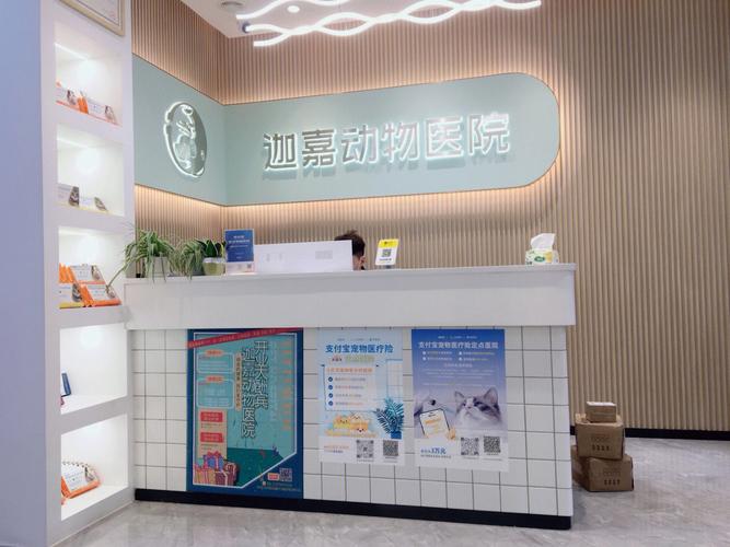 广州宠物医院装修基本步骤的相关图片