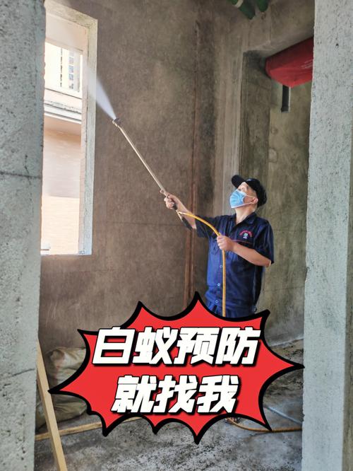 广州装修白蚁预防工程招聘的相关图片